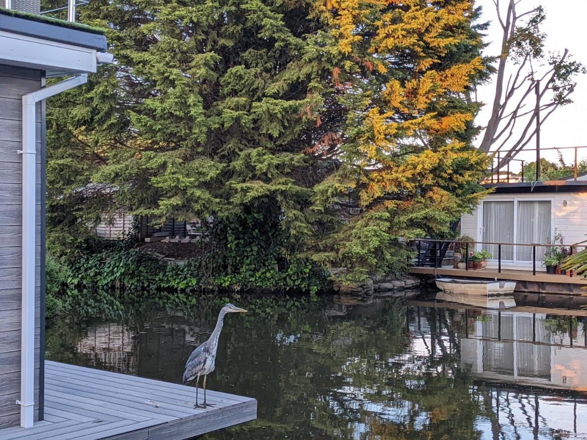Tulana Taggs - Floating Home On Idyllic Island Hampton Hill Eksteriør bilde
