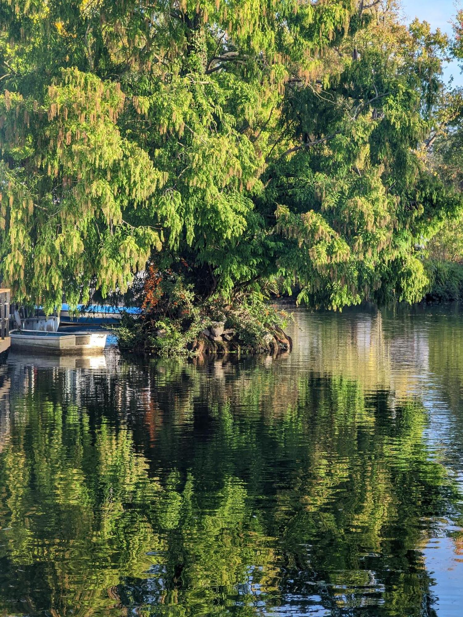 Tulana Taggs - Floating Home On Idyllic Island Hampton Hill Eksteriør bilde